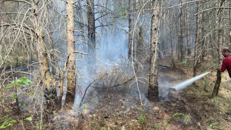 Bolu'da Ormanlık Alanda Çıkan Yangın Kontrol Altına Alındı