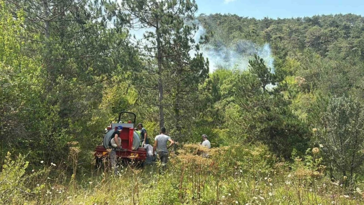 Bolu'da Ormanlık Alanda Yangın Başladı