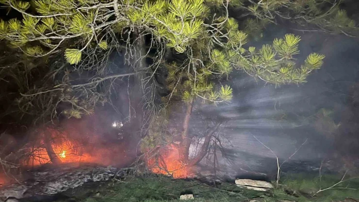 Bolu'da Ormanlık Alanda Yangın Çıktı