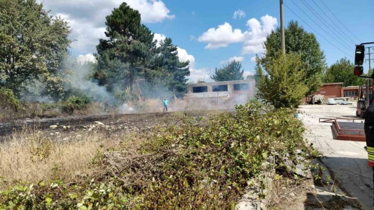 Bolu'da Ot Yangını Büyümeden Söndürüldü