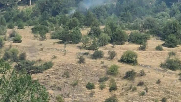 Bolu'da Yıldırım Kaynaklı Çıkan Yangınlar Söndürüldü