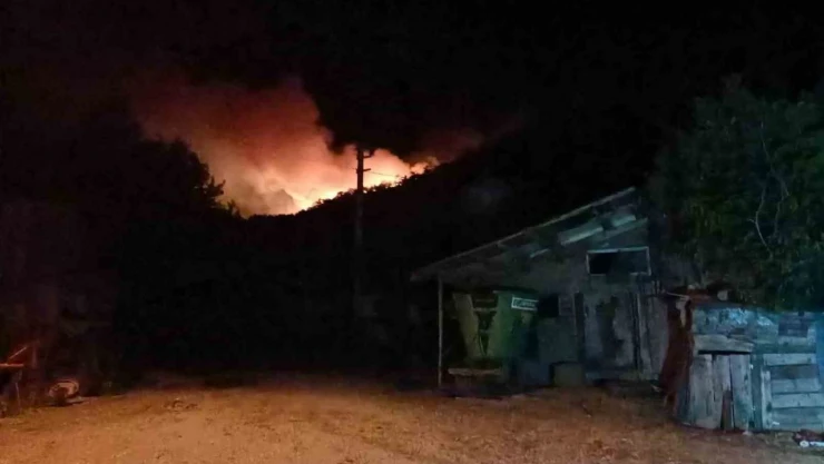 Bolu'daki Orman Yangını 2'nci Gecesinde
