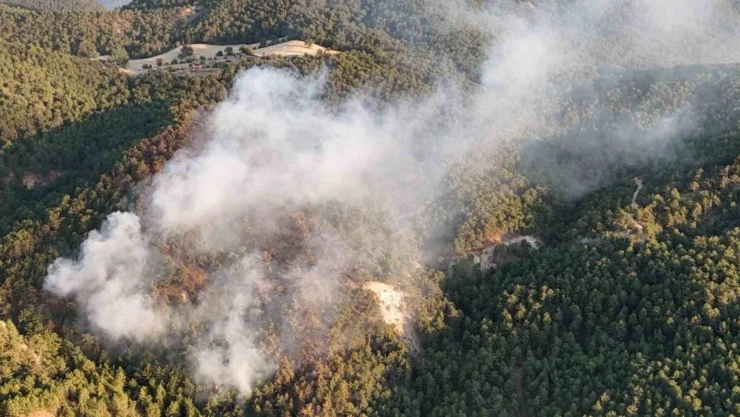 Bolu'daki Orman Yangını Büyük Ölçüde Kontrol Altına Alındı