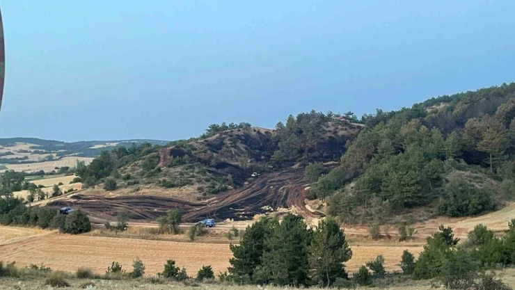 Bolu'daki Orman Yangını Kontrol Altına Alındı