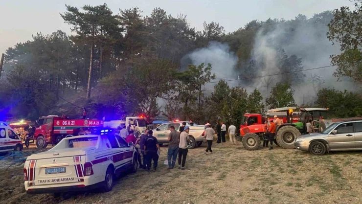 Bolu'daki Orman Yangını Kontrol Altına Alındı
