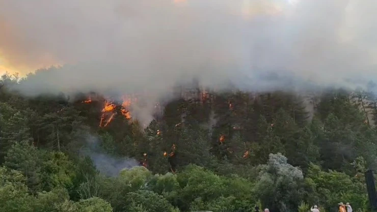 Bolu'daki Orman Yangını Yayılıyor: 7 Helikopterle Havadan Destek