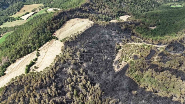 Bolu'daki Orman Yangınında 25 Hektarlık Alan Küle Döndü