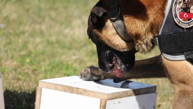 Bolu'da Uyuşturucu Operasyonu