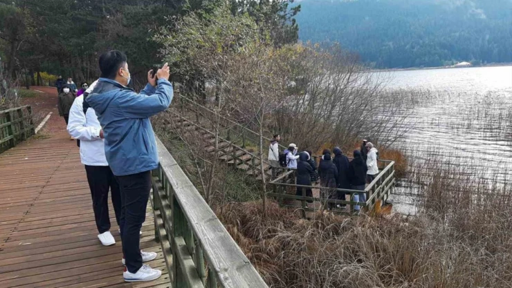 Abant Gölü'ne Ziyaretçi Akını
