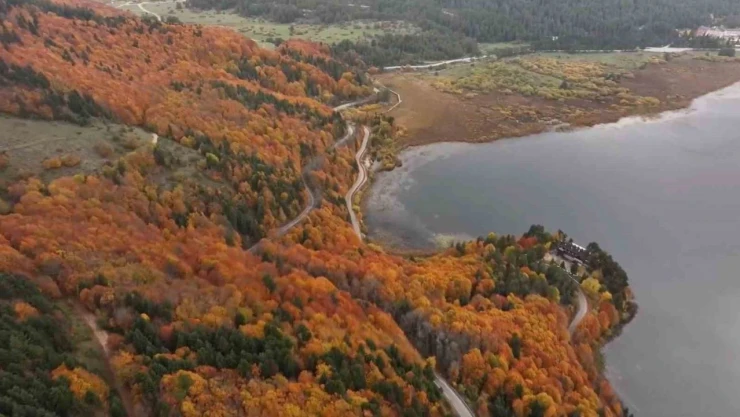 Abant'a Ziyaretçiler Akın Etti