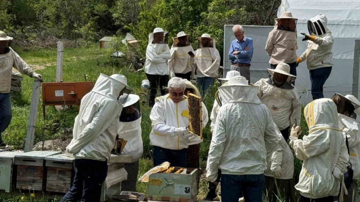 Arıcılık Kursuna Yoğun İlgi