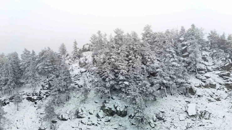 Bolu'nun Yükseklerinde Kar Yağışı Etkili Oluyor