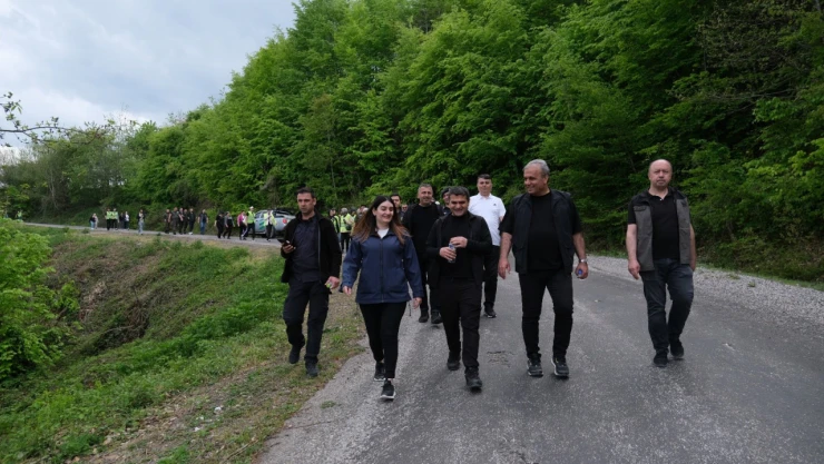 Bozkurt'ta Orman Temizliği