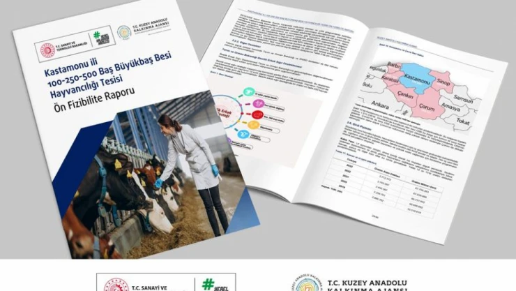 Bu Raporla Yatırım Fikirleri Oluşacak