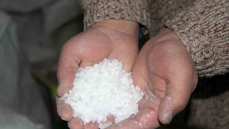 Bu Tuzla, Turşular Daha Uzun Ömürlü Oluyor