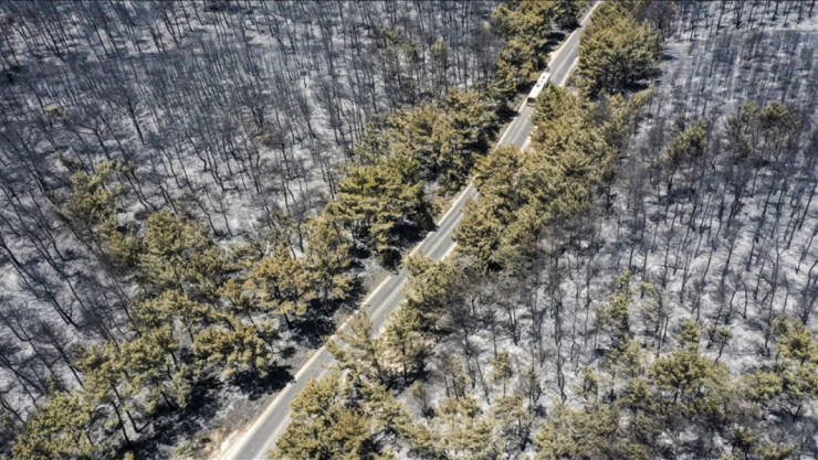 Buca'daki Yanan Alan Havadan Görüntülendi