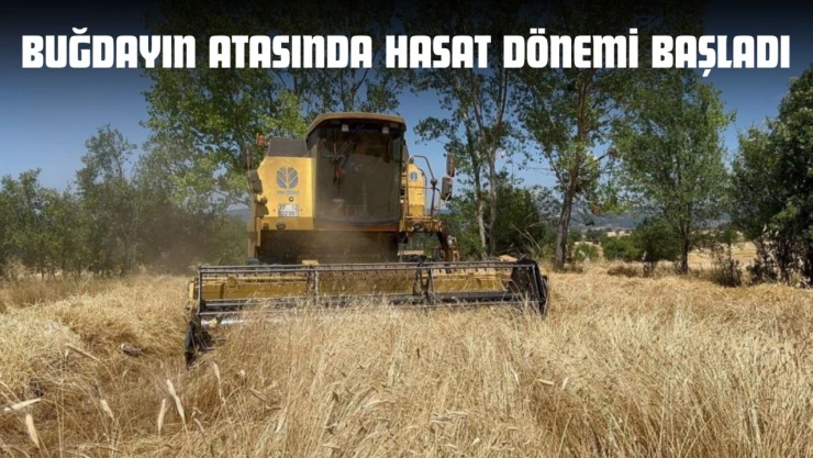 Buğdayın Atasında Hasat Dönemi Başladı