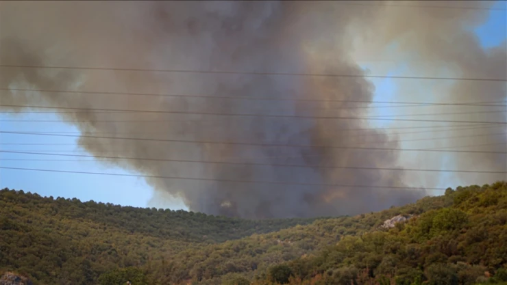 Bursa'da Çıkan Orman Yangınına Müdahale Ediliyor