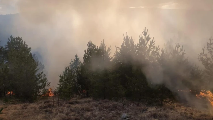Büyümeden Söndürüldü!