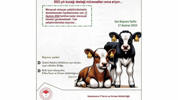 Buzağı Desteklemesi Başvuruları Sona Yaklaşıyor