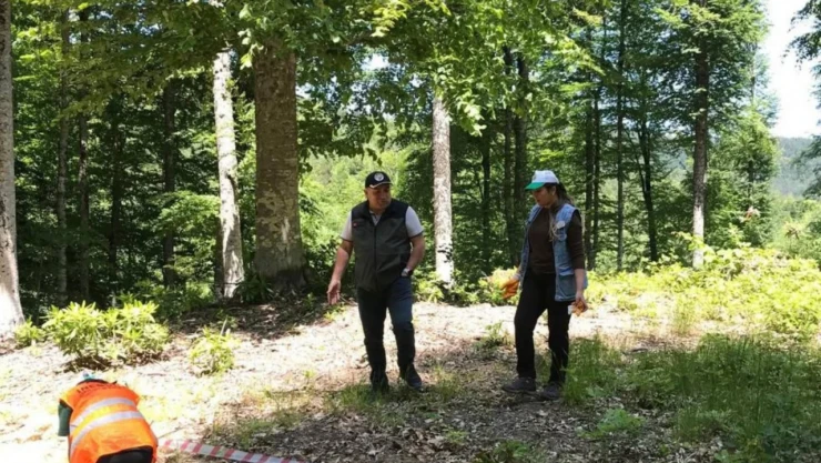 Çalışmalar Yüz Güldürdü