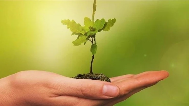 Cam Ve Metaller Geri Dönüşüme Kazandırıldı