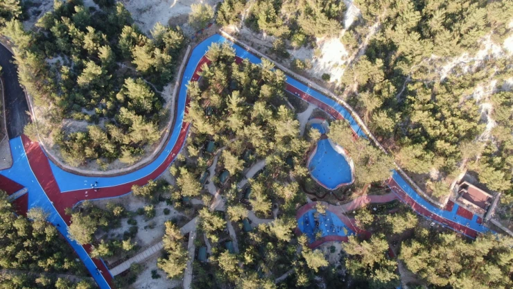 Çamlık Kent Ormanı yeniden hizmete açıldı