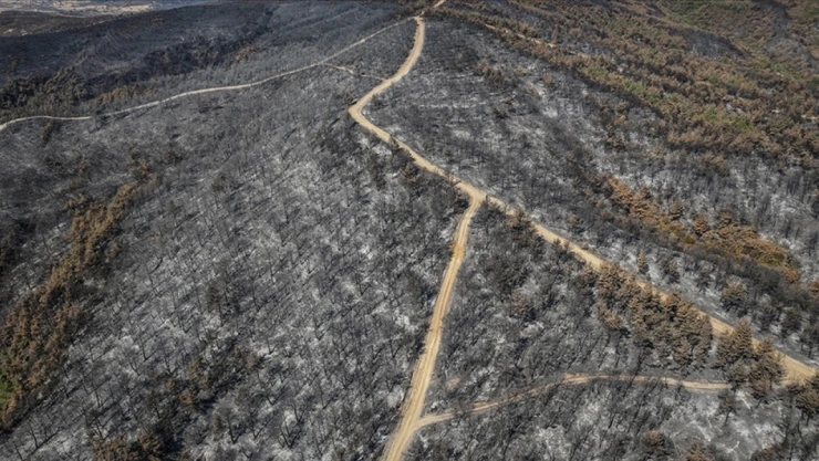 Çanakkale'de 118 Orman Yangınında 7 Bin 39 Hektar Alan Zarar Gördü