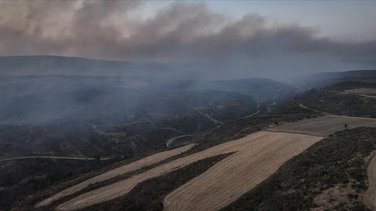 Çanakkale'nin Gelibolu İlçesindeki Orman Yangını Kontrol Altına Alındı