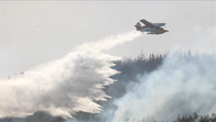 Çanakkale'nin Orman Yangını Tamamen Kontrol Altına Alındı