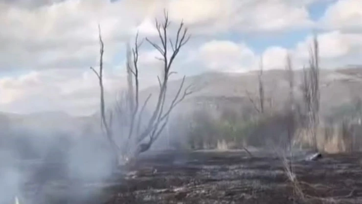Çankırı'da Arazi Yangını