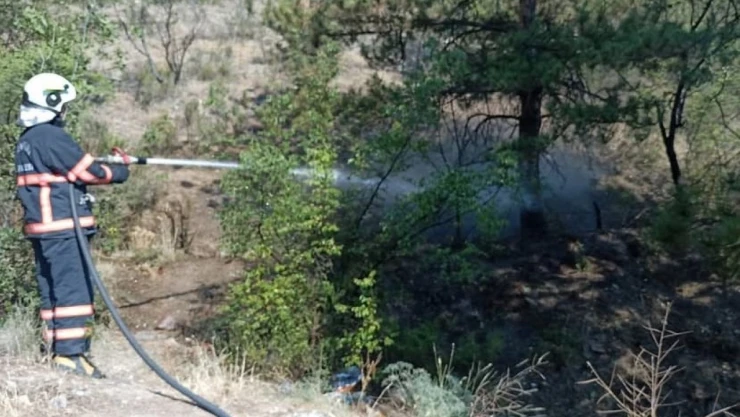 Çankırı'da Çıkan Ot Yangını Büyümeden Söndürüldü