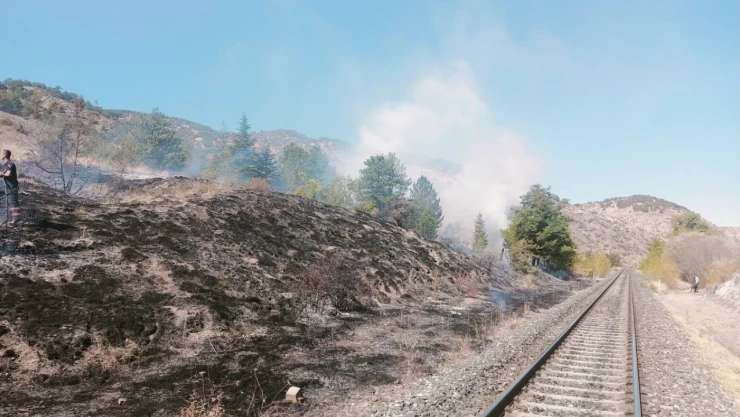 Çankırı'da Ot Yangını!