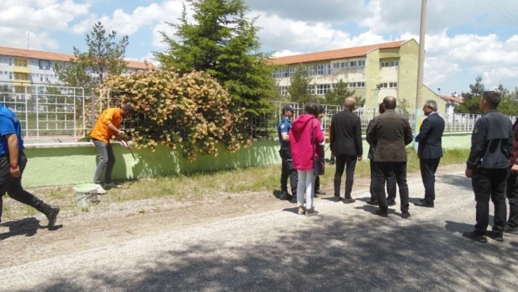 Çankırı'da Hükümlüler Okulları Yeniliyor