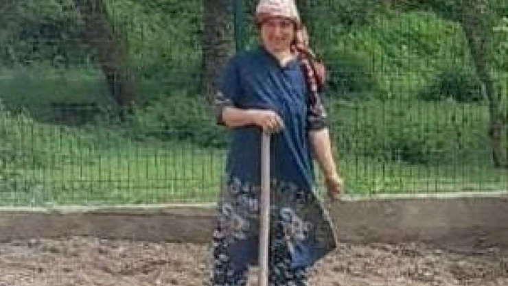 Çankırı'da Kene Can Aldı