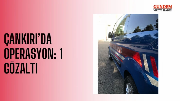 Çankırı'da operasyon: 1 gözaltı