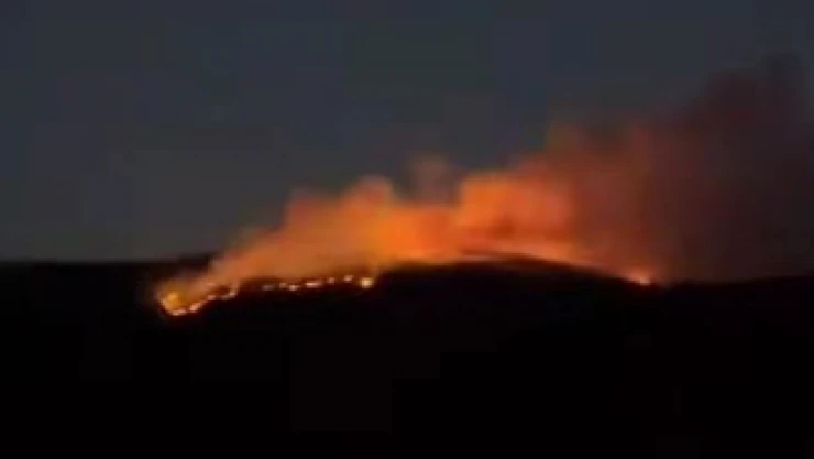 Çankırı'da Orman Yangını