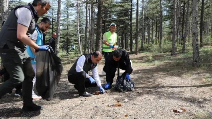 Çankırı'da Protokol Ve Vatandaşlar Ormanlarda Çöp Topladı