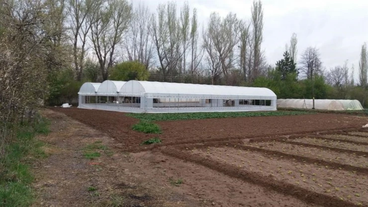 Seralarla Üretime Yeniden Can Verildi