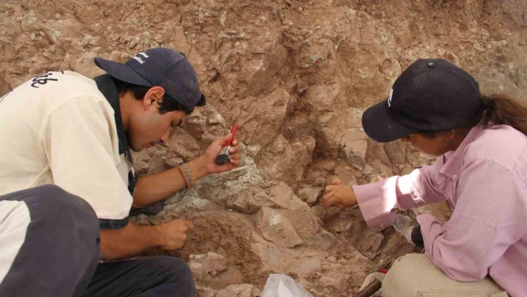 Çankırı'daki Fosiller Gün Yüzüne Çıkartılıyor