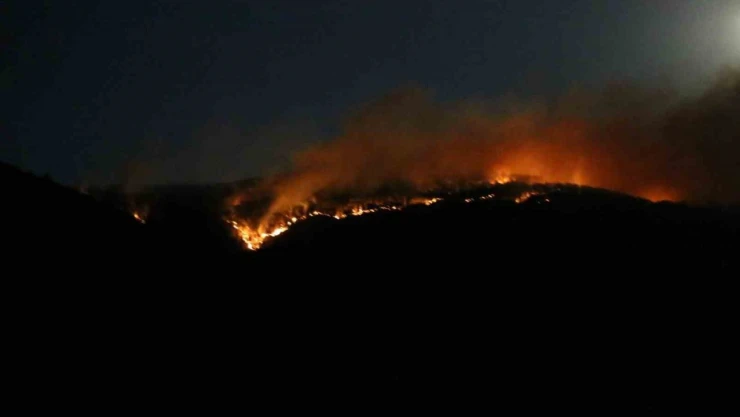 Çankırı'daki Orman Yangınına Ekiplerin Müdahalesi Sürüyor