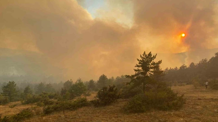 Yangınına Havadan Ve Karadan Müdahale