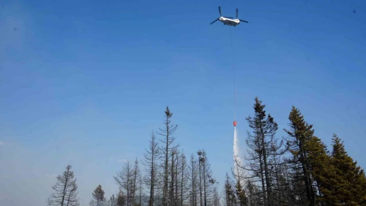 Çankırı'daki Orman Yangınına Havadan Ve Karadan Müdahale Ediliyor
