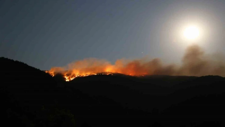 Kastamonu'dan Destek İçin Gittiler: 40 Hektar Alan Zarar Gördü