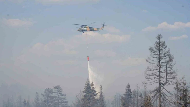 Yapraklı'daki Orman Yangınına 216 Kişilik Müdahale