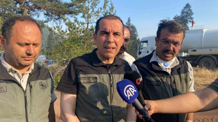 Tosya Sınırında Alevler Durduruldu, Müdahale Sürüyor