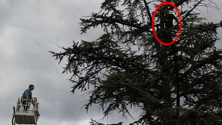 Çaresizliğin gözyaşları