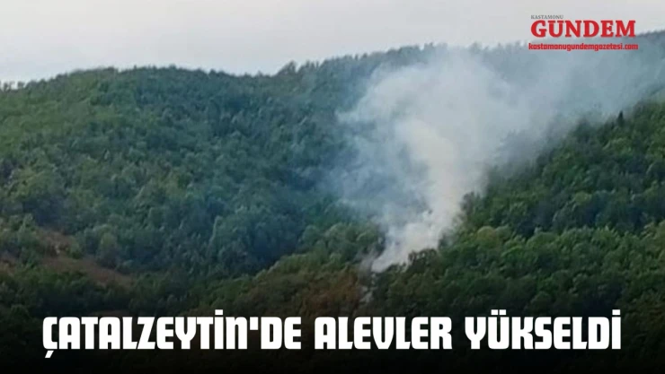 Çatalzeytin'de Alevler Yükseldi