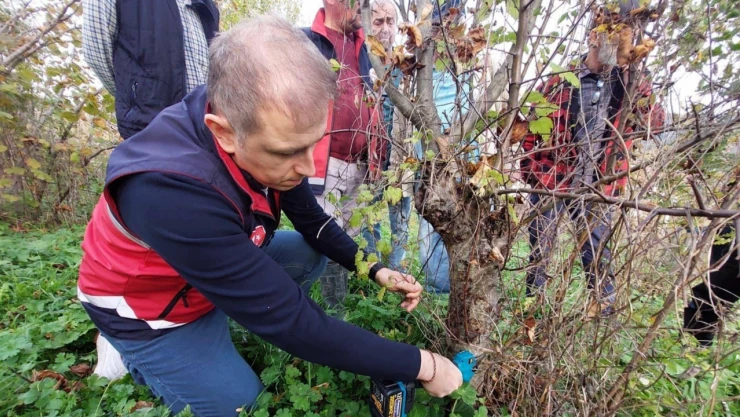 Çatalzeytin'de Çiftçi Eğitimleri Çağlar Köyü'nde Sürdü