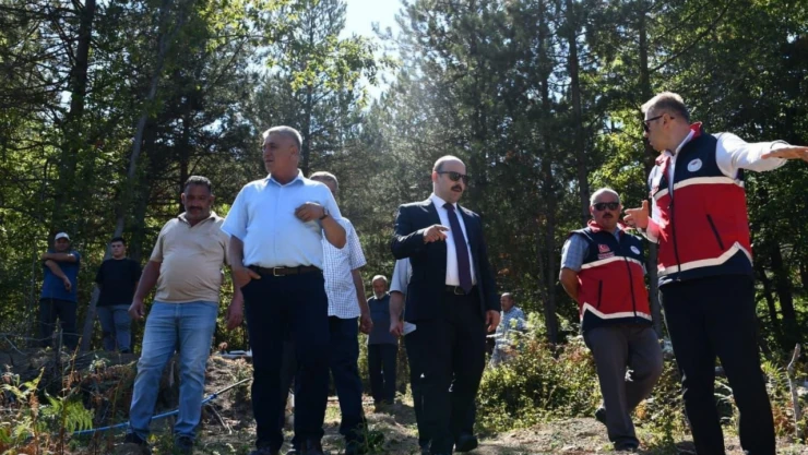 Çatalzeytin'de İlk Aronya Hasadı Gerçekleştirildi